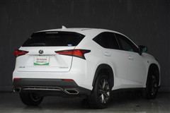 NX300 F SPORT