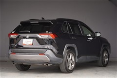 RAV4 G