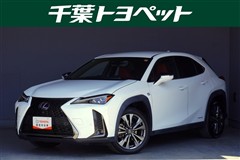 UX250h F SPORT