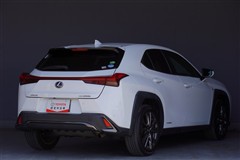 UX250h F SPORT