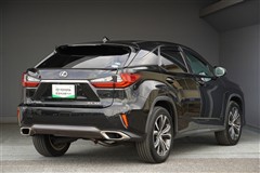 RX300 VER-L