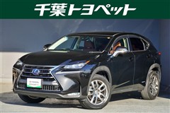 レクサス NX300h I-PKG