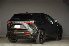 NX350h F SPORT
