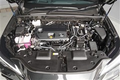 NX350h F SPORT