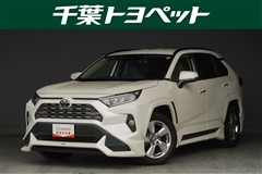RAV4 G