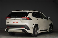 RAV4 G