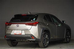 UX250h VER-C