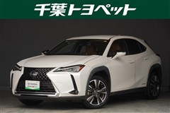 UX250h ブラウンエディション