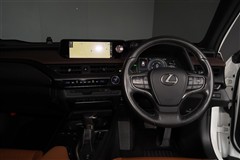 UX250h ブラウンエディション