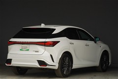 RX500h F SPORT Perf