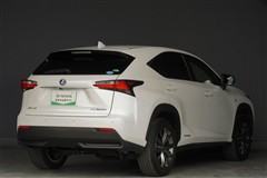 NX300h F SPORT AWD