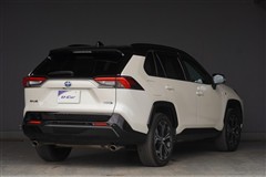 RAV4 PHV ブラックトーン