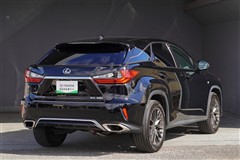 RX300 F SPORT