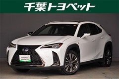 UX250h F SPORT AWD