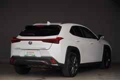 UX250h F SPORT AWD