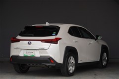 UX250h VER-C