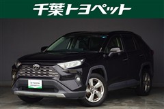 RAV4 G