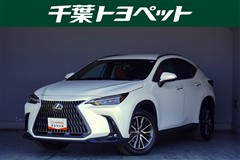 レクサス　NX250 AWD