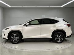 NX300 I-PKG AWD