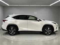 NX300 I-PKG AWD