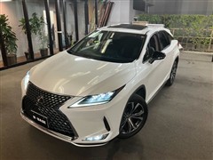 RX300 ヒョウジュンシャ