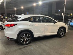 RX300 ヒョウジュンシャ