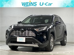RAV4 G