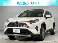RAV4 G