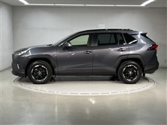 RAV4 G