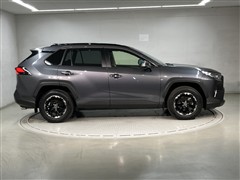 RAV4 G