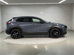 CX-30 20S レトロスポーツED