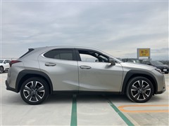 UX250h バージョンL