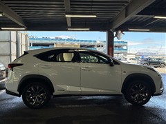 NX300h Fスポーツ