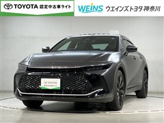 トヨタ クラウンCO RS-AD マットメタル