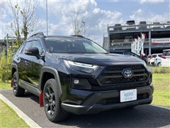 RAV4 HV ADV オフロードP2