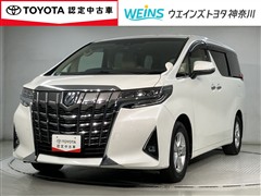 アルファード X 8ニンノリ
