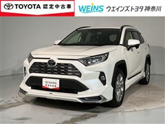 RAV4 G Zパッケージ