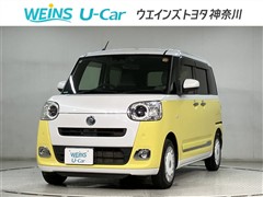 ムーヴキャンバスストライプスG-T