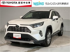 RAV4 G Zパッケージ