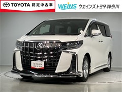 アルファードSサイドリフトUPチルト