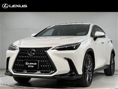 NX250 VER-L AWD