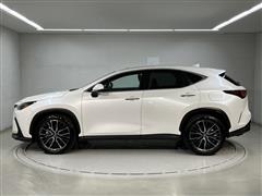 NX250 VER-L AWD