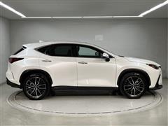 NX250 VER-L AWD