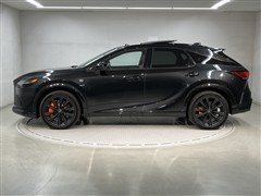 RX500h F-SPOパフォーマンス