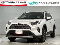 RAV4 G