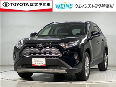RAV4 G Zパッケージ