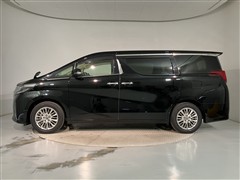 アルファード X 8ニンノリ