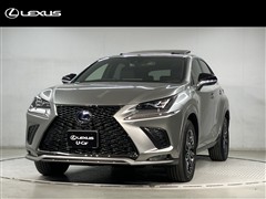レクサス NX300h クール&ブライト