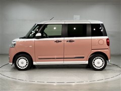 ムーヴキャンバスストライプスG-T