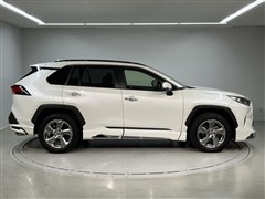 RAV4 G